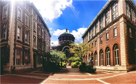哥伦比亚大学